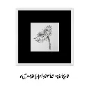atmospheric noise.webp