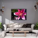 Wall Mock up horizontal.webp