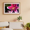 Brown Minimalist 3D Illustration Wall Frame Mockup Instagram Post.webp
