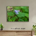 Grey and Blue Vintage Wall Frame Mockup Instagram Post (1).webp