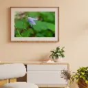 Brown Minimalist 3D Illustration Wall Frame Mockup Instagram Post (1).webp