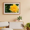 Brown Minimalist 3D Illustration Wall Frame Mockup Instagram Post.webp
