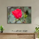 Grey and Blue Vintage Wall Frame Mockup Instagram Post (1).webp