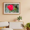 Brown Minimalist 3D Illustration Wall Frame Mockup Instagram Post (1).webp