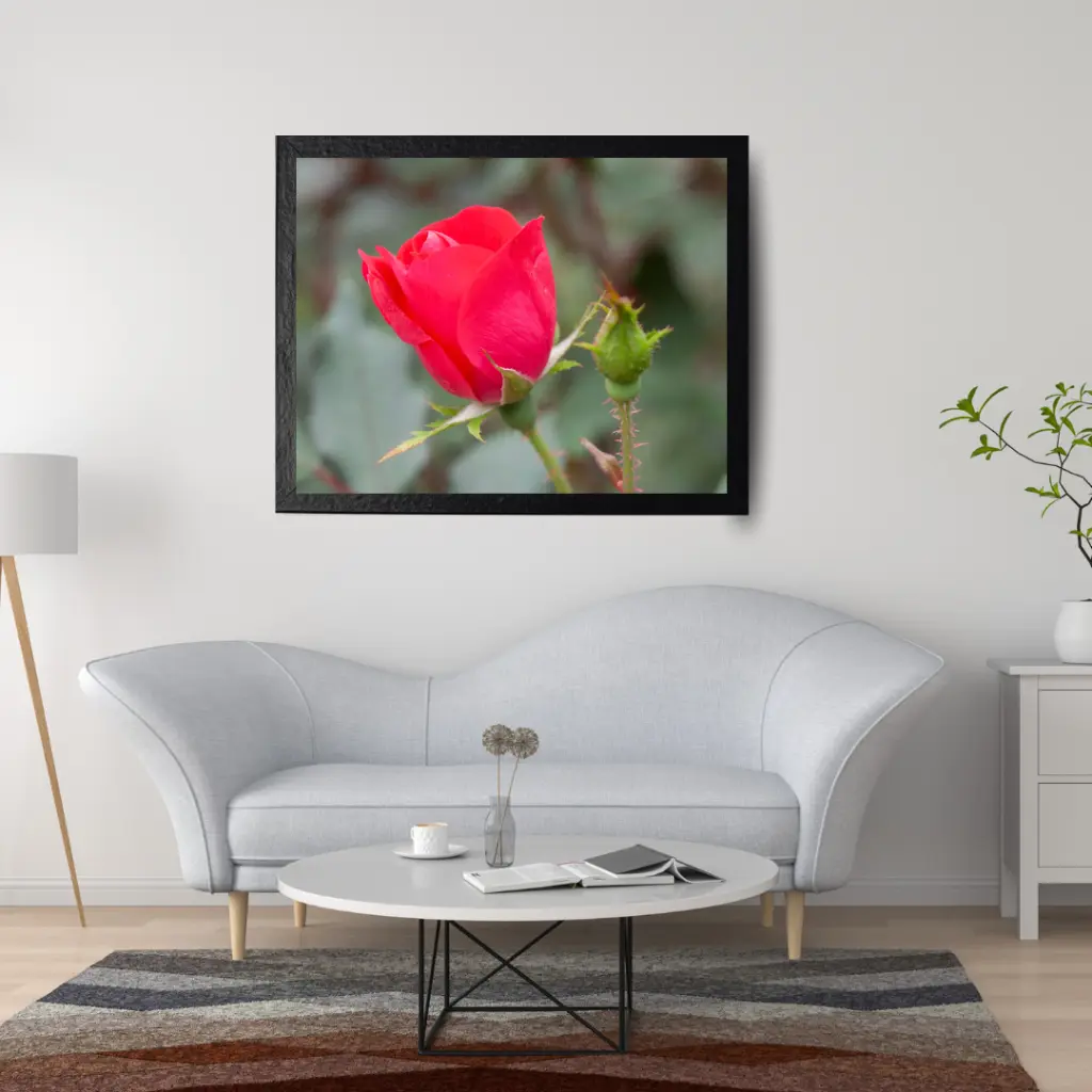 Room Mockup Atmos (1).webp