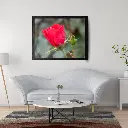 Room Mockup Atmos (1).webp