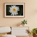 Brown Minimalist 3D Illustration Wall Frame Mockup Instagram Post.webp