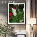 Gray Minimalist Mockup Instagram Post (1).webp