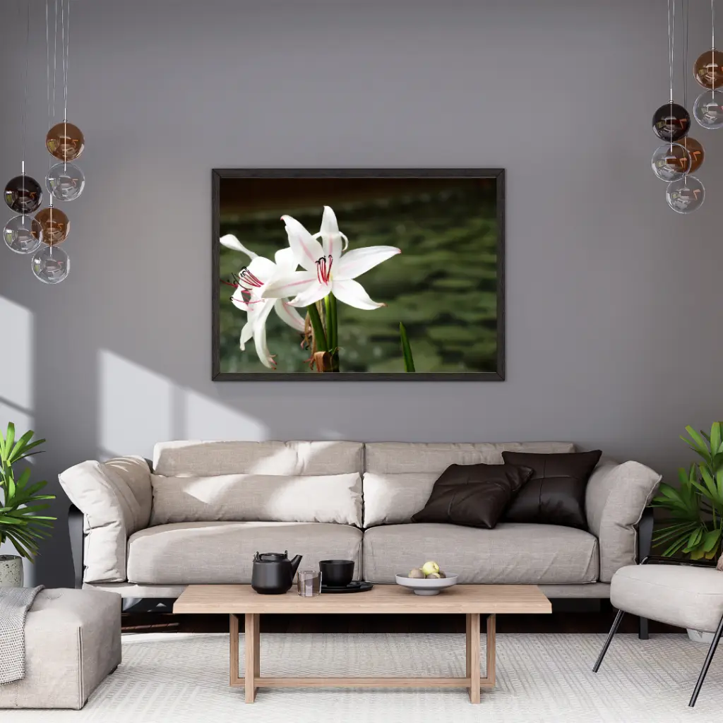 Wall Mock up horizontal (1).webp