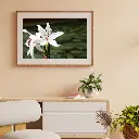 Brown Minimalist 3D Illustration Wall Frame Mockup Instagram Post (1).webp