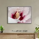 Grey and Blue Vintage Wall Frame Mockup Instagram Post (1).webp