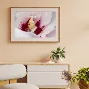 Brown Minimalist 3D Illustration Wall Frame Mockup Instagram Post (1).webp