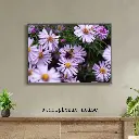 Grey and Blue Vintage Wall Frame Mockup Instagram Post.webp