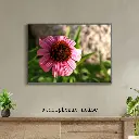 Grey and Blue Vintage Wall Frame Mockup Instagram Post.webp