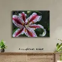 Grey and Blue Vintage Wall Frame Mockup Instagram Post (1).webp