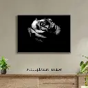 Grey and Blue Vintage Wall Frame Mockup Instagram Post (1).webp