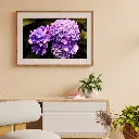 Brown Minimalist 3D Illustration Wall Frame Mockup Instagram Post.webp