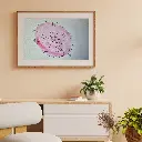 Brown Minimalist 3D Illustration Wall Frame Mockup Instagram Post.webp