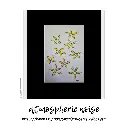 atmospheric noise.webp