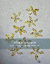 Atmos Image Vertical.webp