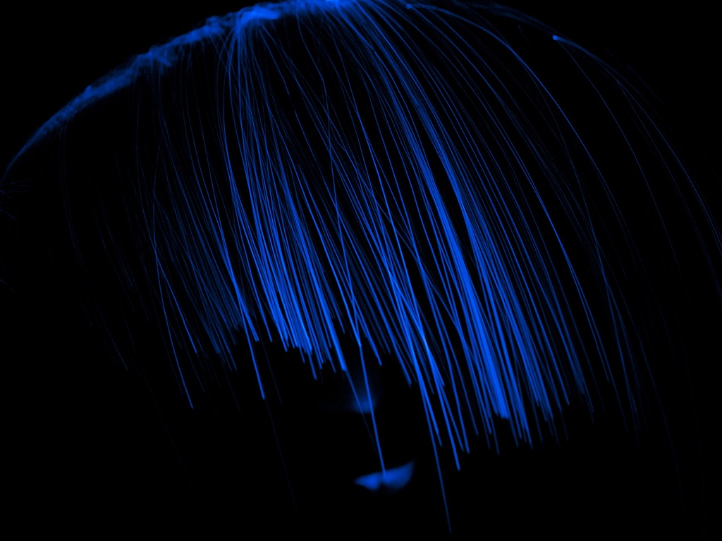 Study In Blue #6