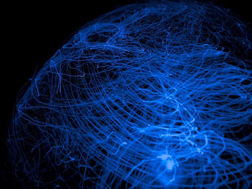 Study In Blue #8