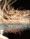 feu d'artifice #019