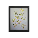 Yellow Flowers Drawing Reproduction Print