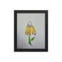 Coneflower Drawing Un/Framed Reproduction Print 