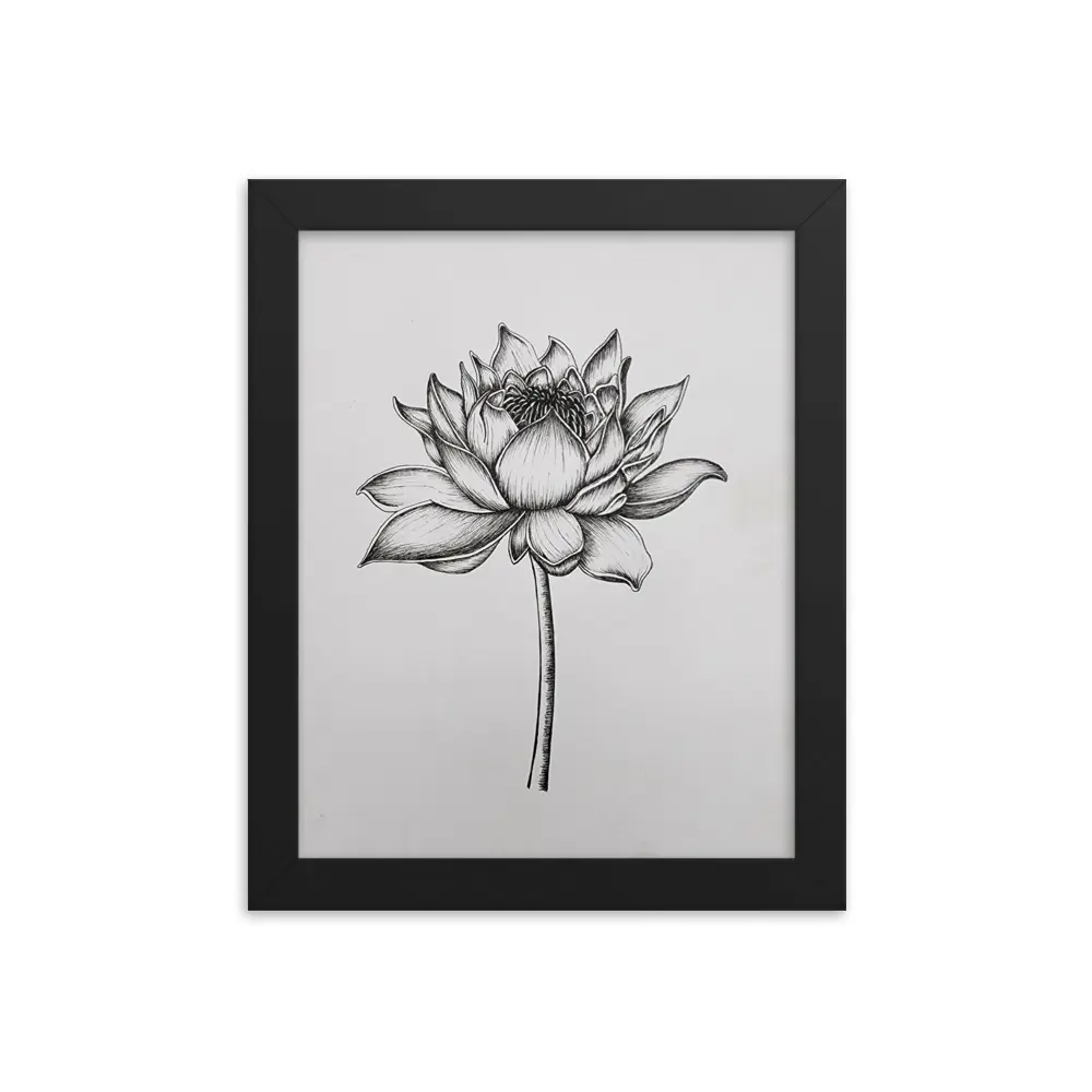 Lotus Drawing Un/Framed Reproduction Print