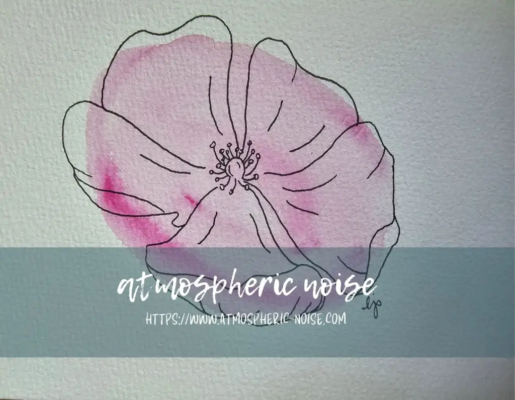 "Soft Bloom" Prairie Rose Watercolor & Drawing Reproduction Print