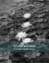 waterlilies