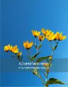 Sky and Sunflowers