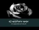 Dramatic Rose