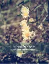 White Aster