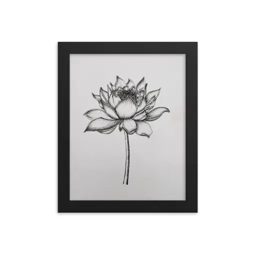 Lotus Drawing Un/Framed Reproduction Print