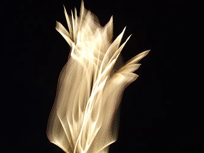 feu d'artifice #006