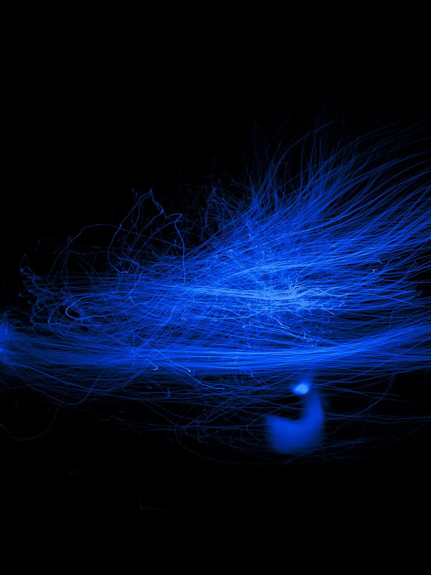 Study In Blue #2