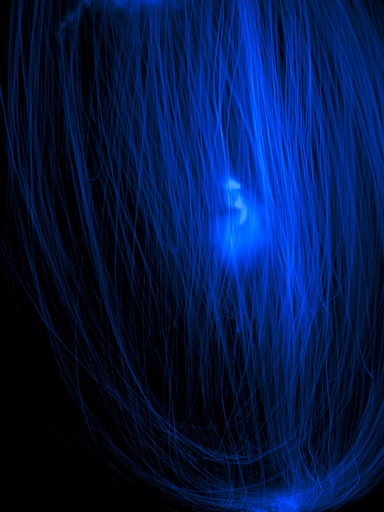 Study In Blue #3