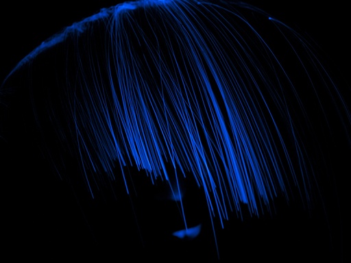 Study In Blue #6