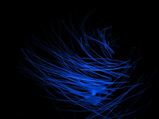 Study In Blue #7