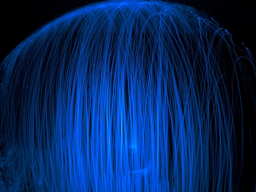 Study In Blue #9