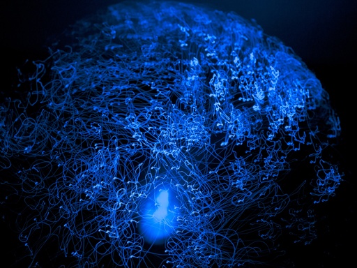 Study In Blue #10
