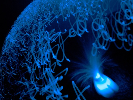 Study In Blue #11