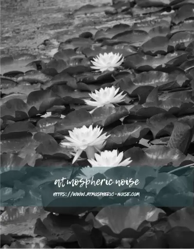 waterlilies