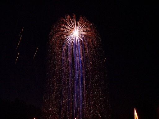 feu d'artifice #017
